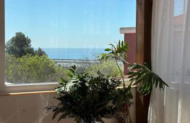 White House - Foto 2