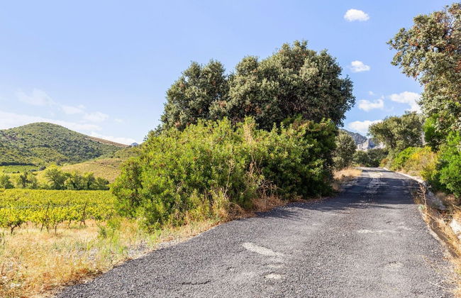 Holiday Home in Tautavel Near Gorges & Museum - Foto 24