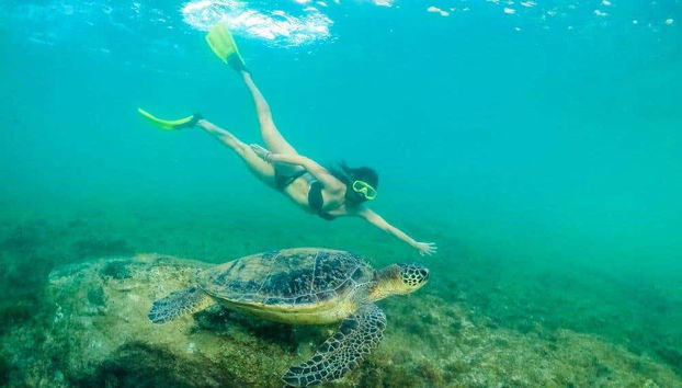Senderismo por la bahía de Golfinhos - Foto 4