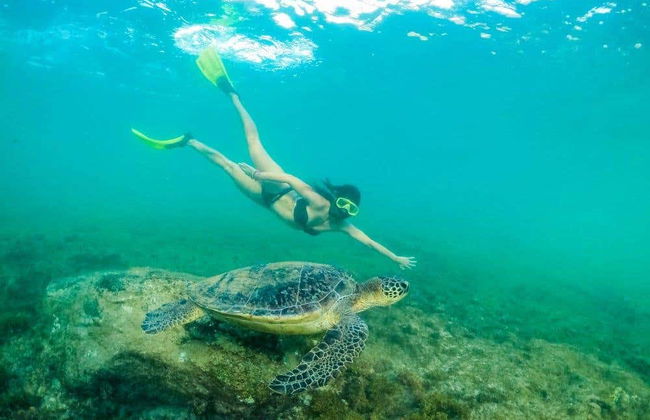 Visite complète de Fernando de Noronha - Photo 7