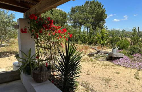 Amélia's House (Casa das Amélias) - Foto 7