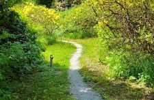 Rapunzel trifft Dornröschen - Foto 2