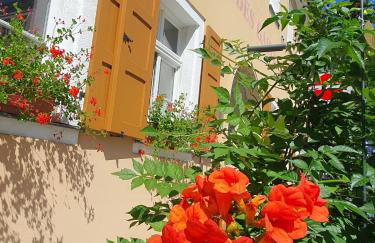 Am Springbrunnen - Foto 12