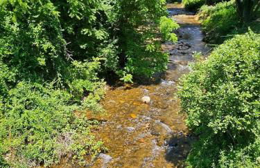 Life's Good Retreat - Foto 67