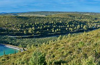 Masia Heredad La Boquilla - Foto 112