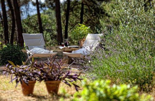 Cortijo De Ramón - Foto 38