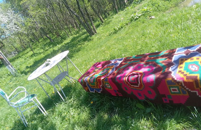 Room in Guest Room - Idylic Family Sejour With Hottube in Green Land - Photo 38