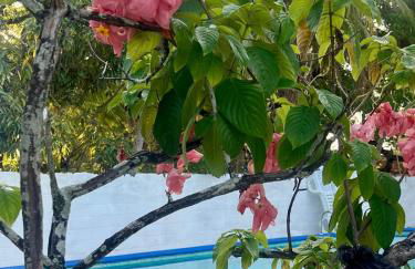 Casamar Brasil - Photo 19