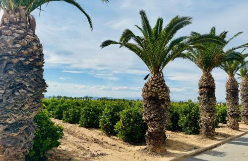 Apartamento Agua Rosa - Foto 77