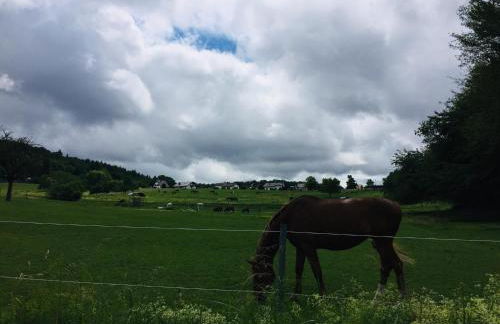 Schwarzwald Boutique-Apartment HAUS REHGARTEN - Foto 50