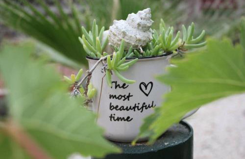 Orhideja Apartment - Foto 36