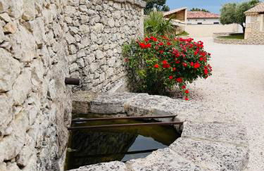 Le Mas de Maellou - Maison de vacances en Drôme Provençale - Foto 69