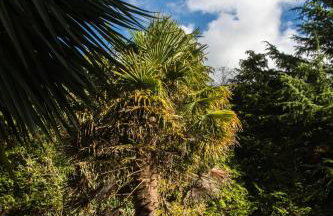 Calm Private Annex in Ashford - Foto 26