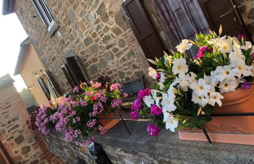 Babbo Rino - Foto 14