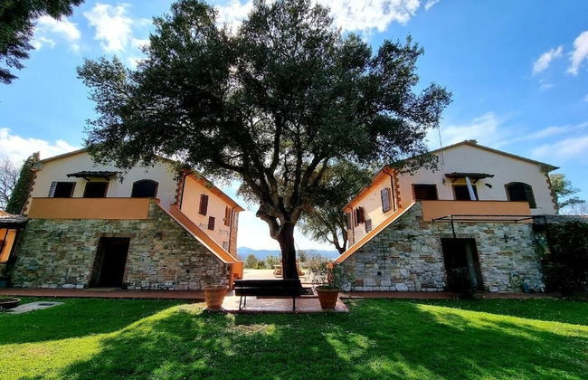 Poggio La Buca - Agriturismo - Foto 34