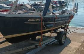 Ferienhaus Zum Birkenwäldchen - Foto 16