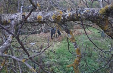 Stivakti Chalet - Foto 25