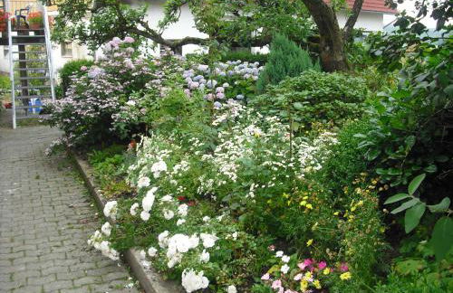 Willekes Blütenhof - Foto 30