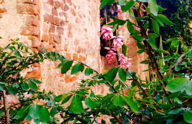 Mood Siro Comi - Foto 25