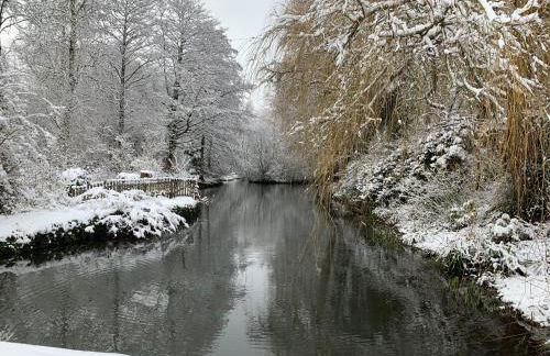 Little Norton Mill - Photo 67