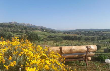 Dependance Pavoncella - Foto 25