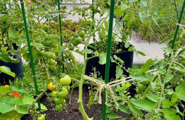 Apartamenty i pokoje nadmorskie - Owocowe Wzgórze - Foto 61