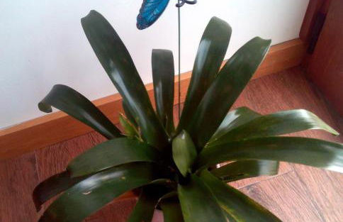 Casa do Azibo - Foto 50