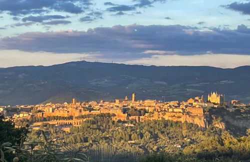 Agriturismo Affaccio su Orvieto - Foto 53