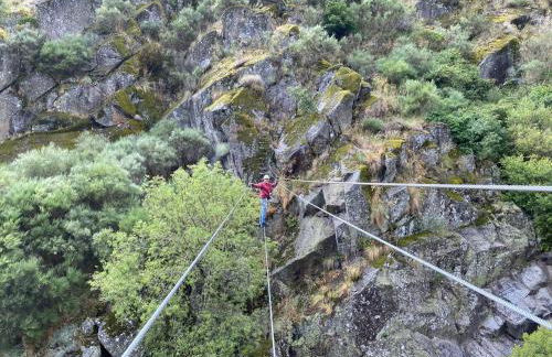 Mira Pombeira - Foto 23
