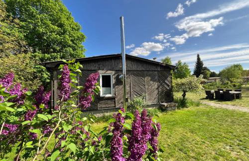 Haus 8 am Grimnitzsee mit Sauna - Photo 1