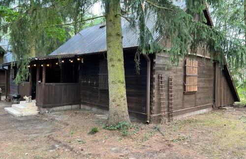 Dom z linią brzegową Narwi 3 - Photo 36