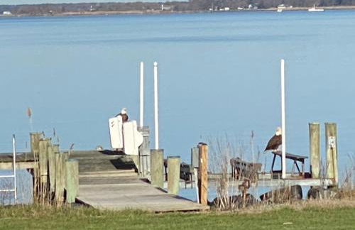 Bay Breeze - Foto 69