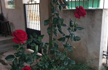 La Casa del Cartero Pablo - Foto 21