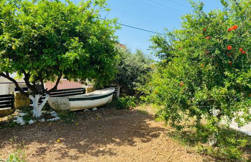 The Green Home - Foto 9