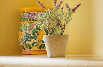 La Terrazza sul Mare - Foto 33