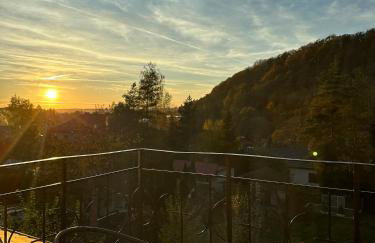 APARTAMENTY LAVENDERIA z widokiem na Górę Parkową, blisko centrum, spokojna okolica - Foto 24