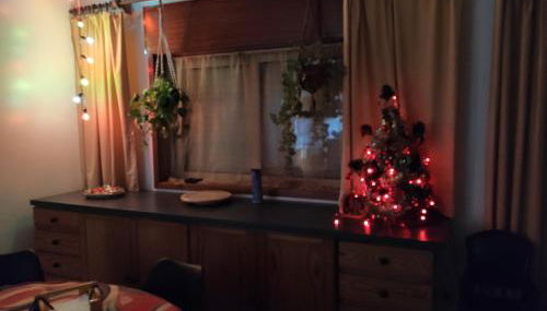 Yellow House - Photo 4