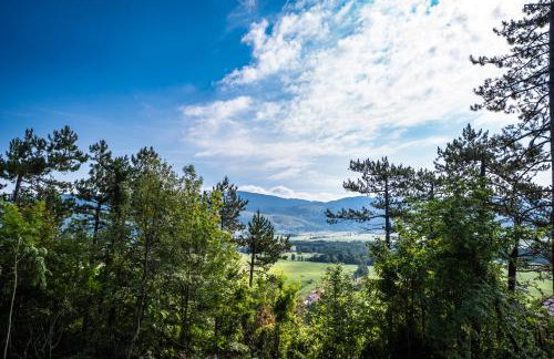 Little paradise house - Foto 17