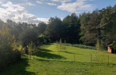 Relaks w Wilczycach - Photo 14