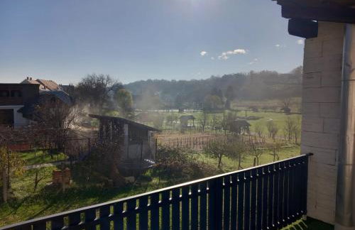 Shalom Krašić - Foto 11