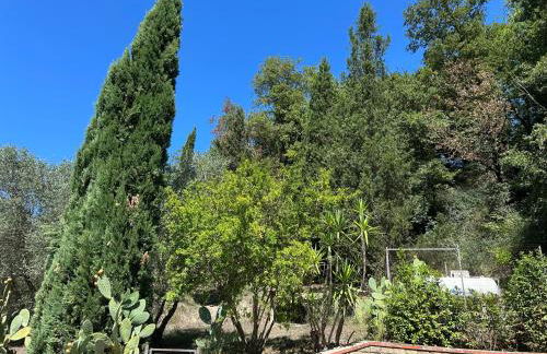 Country House Rocchette - Foto 49