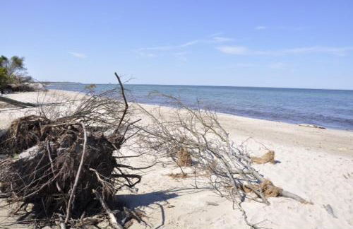 Ferienwohnung Baumann - Foto 18