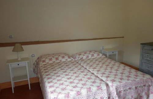 azienda agricola lo zolfino - Photo 16