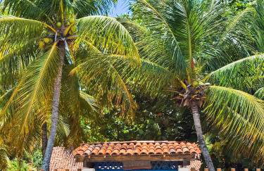 Morada da Praia - Porto de Pedras à Beira-Mar - Foto 4