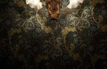 Maison Verte, Monument Historique - Foto 18