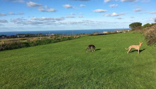 Plover Cottage at Trenale Court Cottages - Foto 3