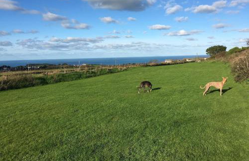 Plover Cottage at Trenale Court Cottages - Foto 3
