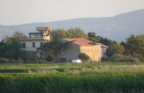 Domaine du Petit Tournebelle - Foto 49