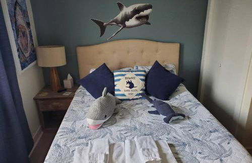 The Lost Loggerhead- OBX Ocean view Beach House - Foto 30