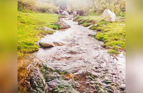 El Eden de Javier - Foto 22